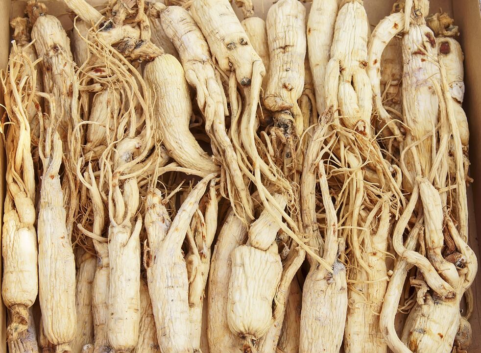 Ginseng kökü temelinde, gücü artıran bir kaynatma hazırlayabilirsiniz. 